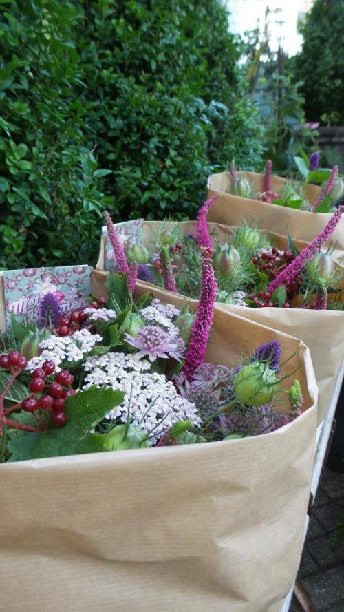 Veldboeket Zomer Mix