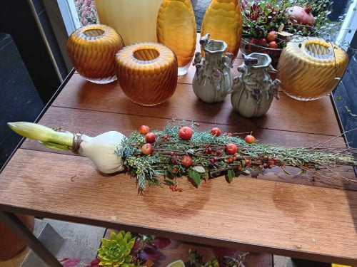Amaryllis kegel herfst