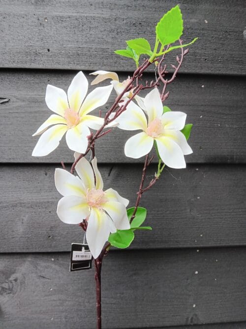 Magnolia zijden wit