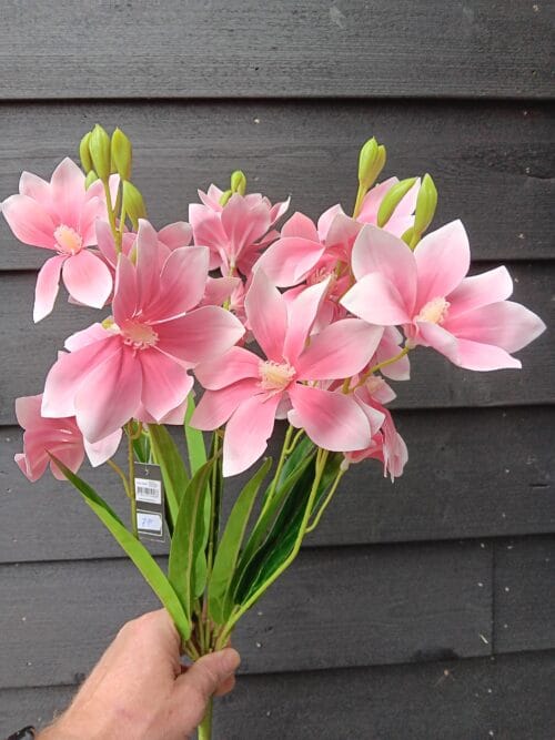 Clematis roze zijden