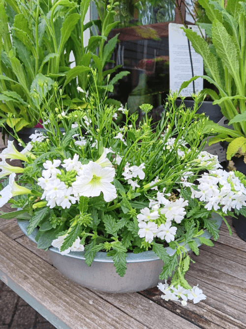 zomermix wit in zinkenschaal