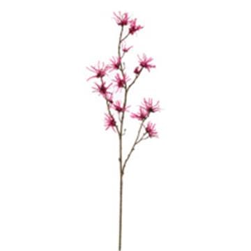 HAMAMELIS 98CM BEAUTY