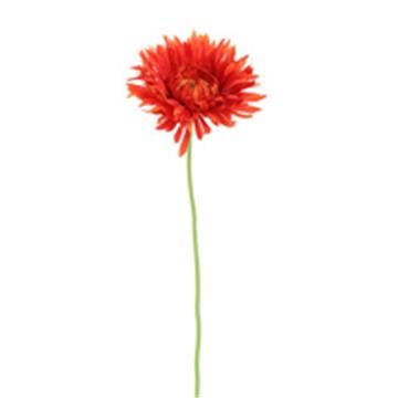 SPIDER GERBERA 45CM RED