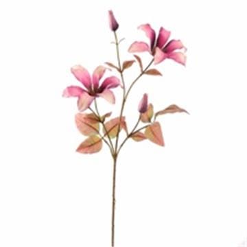 CLEMATIS 65CM LAVENDER