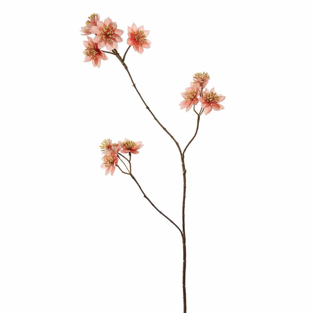 ASTRANTIA 72CM ROZE 1 ASTRANTIA 72CM ROZE