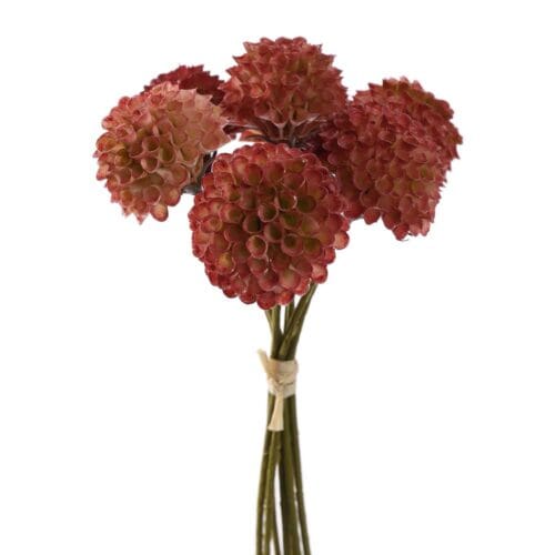 DAHLIA BUNDEL 28CM DONKERROZE