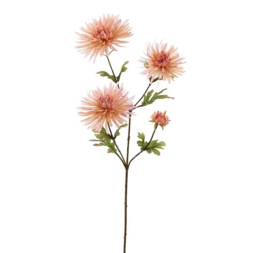 SPINGERBERA 65CM ROZE