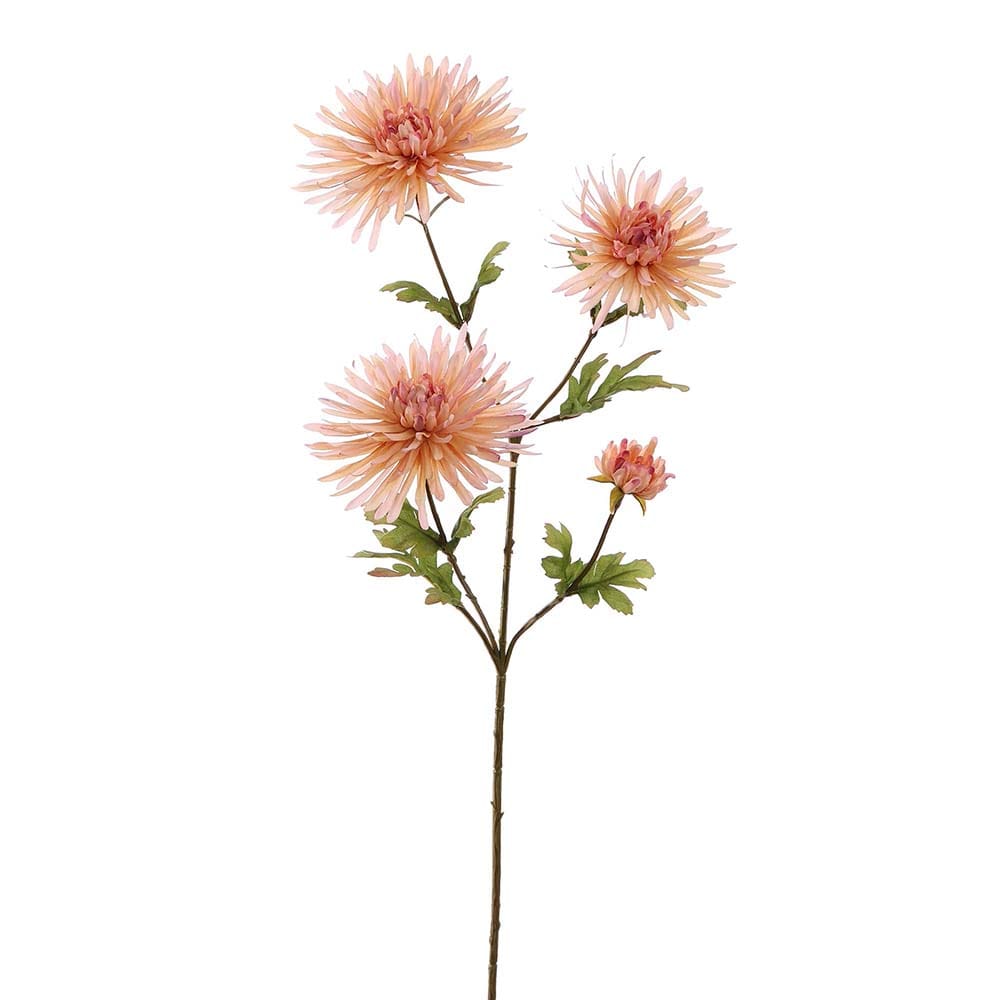 SPINGERBERA 65CM ROZE 1 SPINGERBERA 65CM ROZE